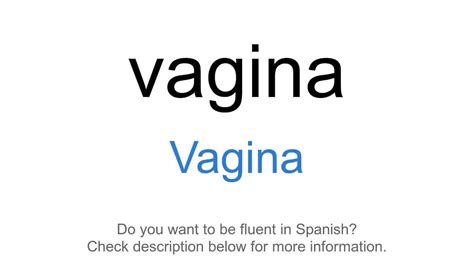 vagina in latin|How to Say Vagina in Latin .